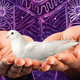 Image for article titled What are you reading in July 2014?